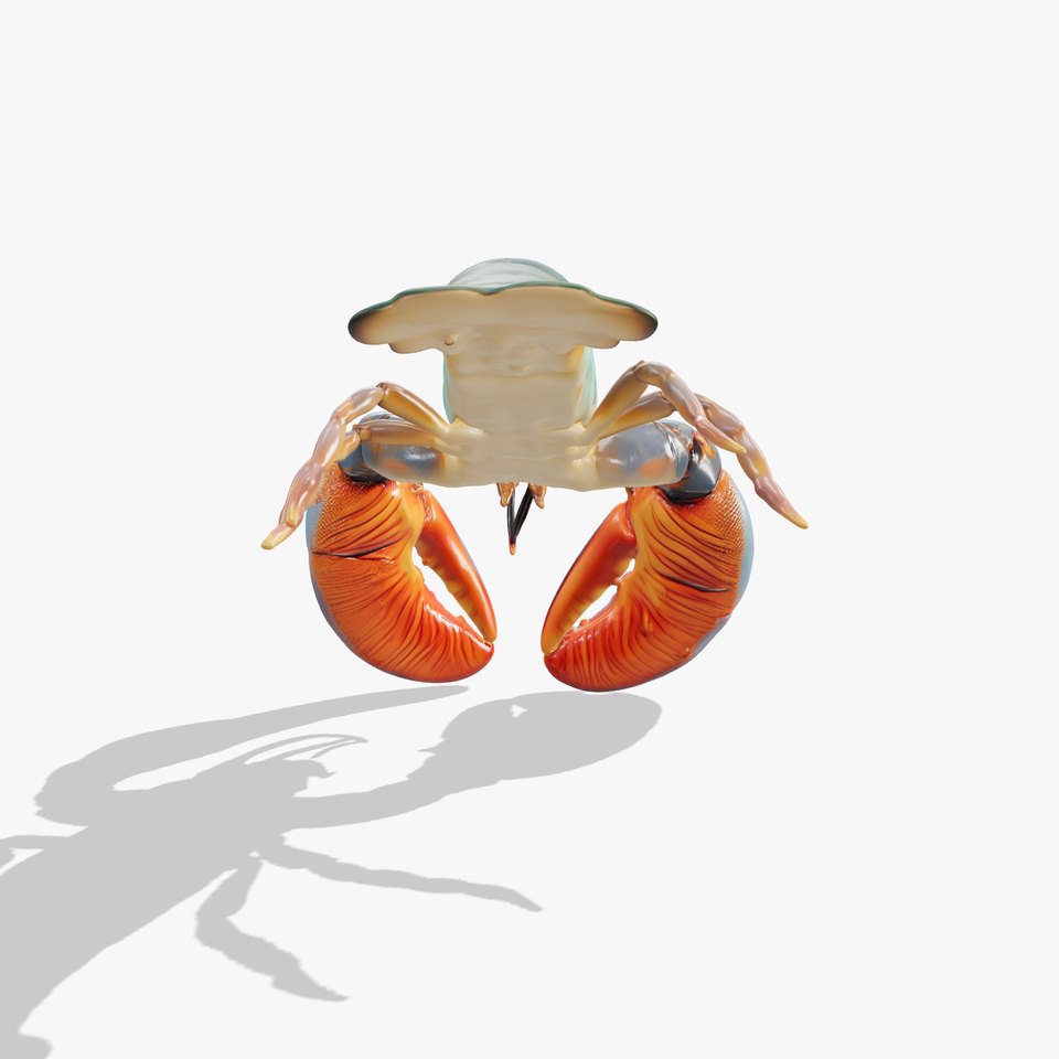 Lobster Realistic Textured Shell Model Pack